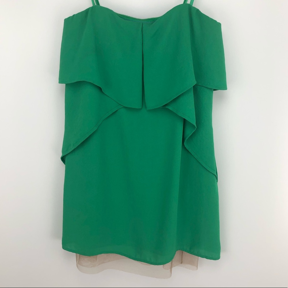 BCBG Maxazria Runway Collection Dress